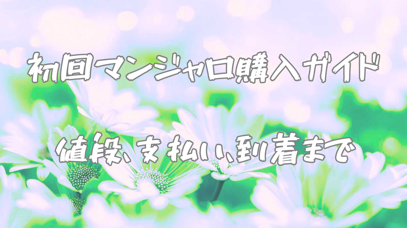 実際のマンジャロ購入から到着までの流れ