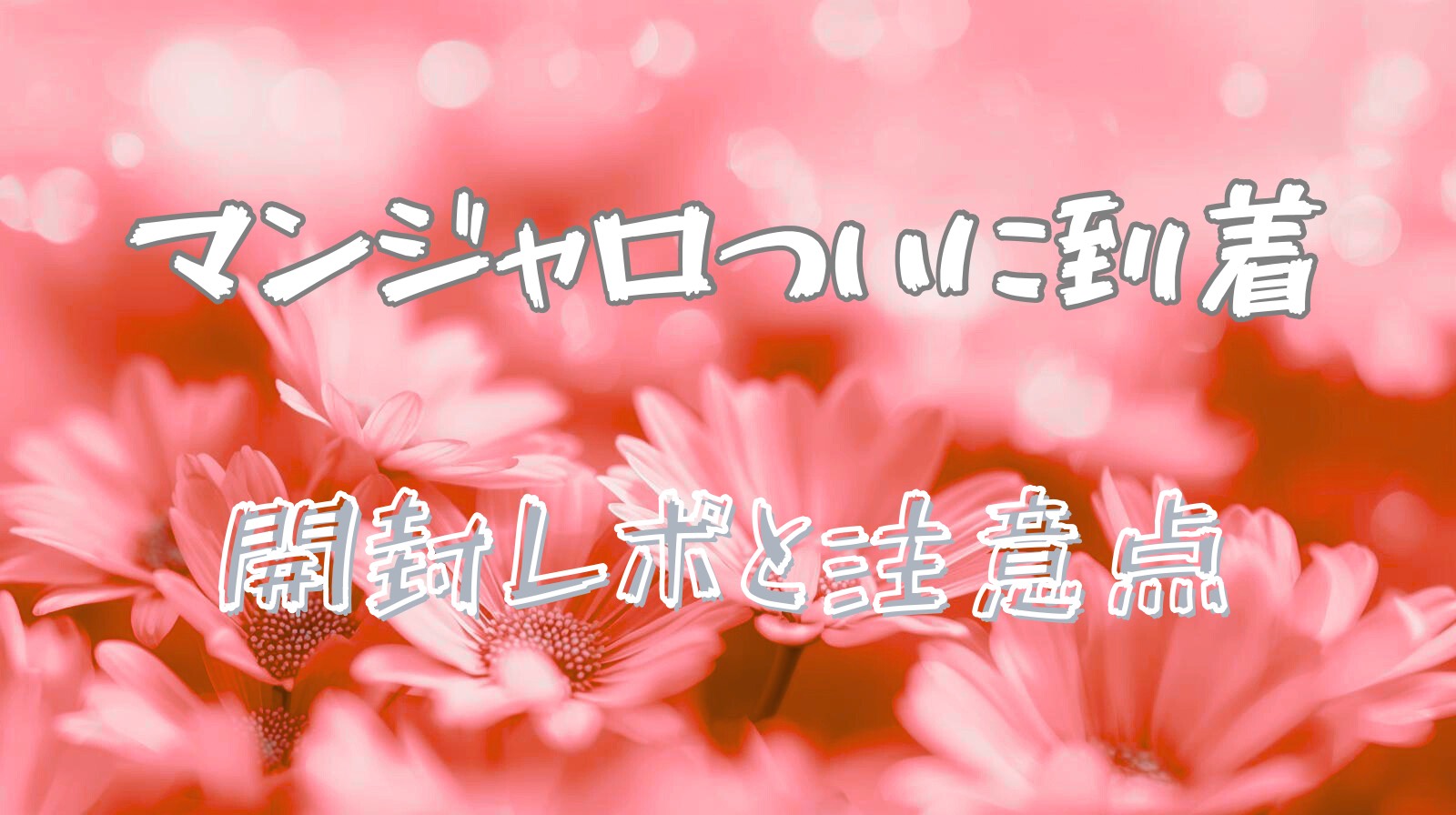 マンジャロ届いた！開封レポ＆保管の注意点